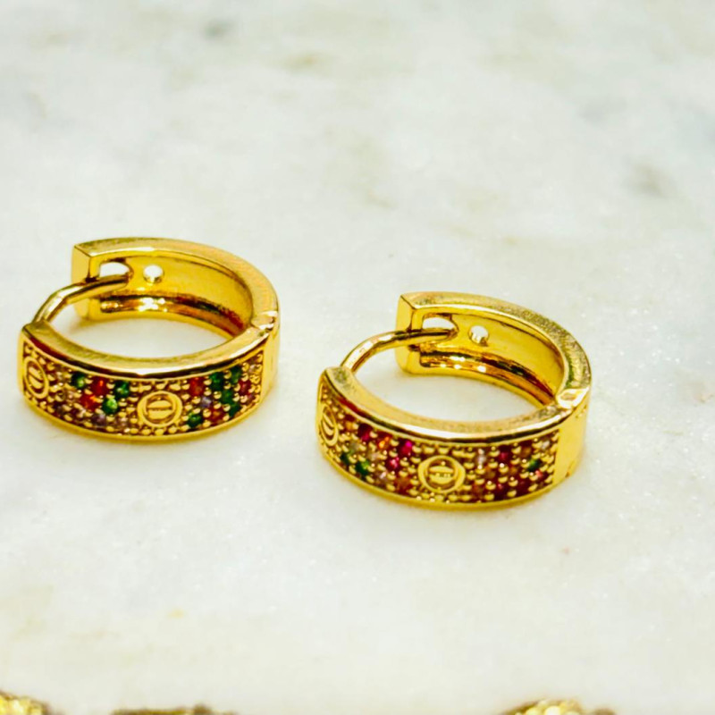 Stainless Steel Cubic Zirconia Hoop Earring